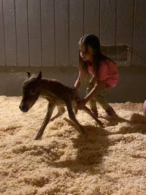 Paizley & Hot Sauce have been best friends since the day he hit the ground 💕💕💕#paizleysponies #paintedponiesranch #horselife #ponies #horsetok #minihorse #horses #PetsOfTikTok #poniesoftiktok #animalsoftiktok #BestFriends #bff #besties 