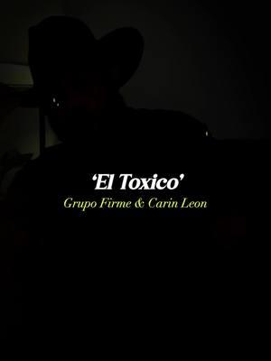 Arriba las Toxicas 😜⚠️ #ElToxico #GrupoFirme #CarinLeon #regionalmexicano #banda #mexican #lyrics #translation #foryoupage #fyp #paratiiiiiiiiiiiiiiiiiiiiiiiiiiiiiii #CasaTikTok 