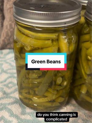 Quart of green beans would feed 3-4 people as a side ❤️  Quarts PC 25 min Pints PC 20 min Rebel WB 3 hrs Canuary creators: @Mountain Heart Homestead @It’s Jenn Again 🪴 @Savannah Barnett @shay yvonne | homemaker ✝️🌷  #canningfood #rebelcanning #beginnercanning #canningandpreserving #canningforbeginners #canuary #fromscratch #canningtok #mybasichomestead #homesteadlife #homesteadforbeginners #TikTokSeries 