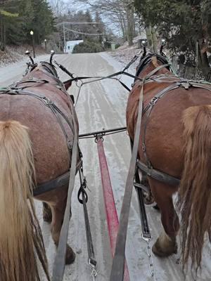 Marching all the time. #foryoupage #fyp #mackinacisland #horsesofmackinac #horsesoftiktok #junglebook 