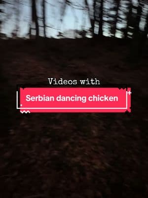 #horor #serbiandancinglady #dancing #scary #scarytiktoks #myth #chickens #pet 