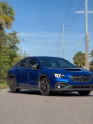 Blue is always better 🏎️ @Subaru Motorsports USA @Subaru of America, Inc.  #wrxnation #subi #florida #cars #carsontiktok #pics #foryoupage #fyp 