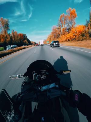 enjoy the vibes ☺️ - - - - - #motorcycle #moto #bike #biker #bikelife #bikesoftiktok #cops #suzuki #gsxr #gsx8r #gixxer