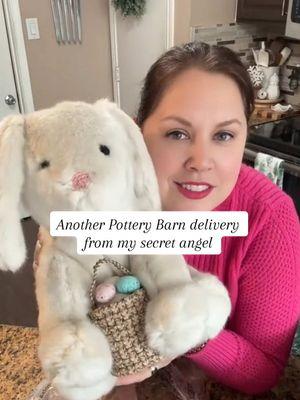 At this point, I’m now expecting something for every holiday! @potterybarn I love this bunny! #potterybarn #bonniethebunny #bunny #pillow #decorativepillows #easter #easterdecor #surprise #mystery #unboxing #unboxingvideo 