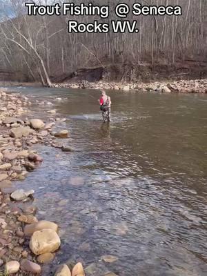 Trout Fishing in WV. #troutfishing #trout #fishing #fish #flyfishing #Outdoors #wildlife #nature #troutstocking #troutflyfishing #wv 