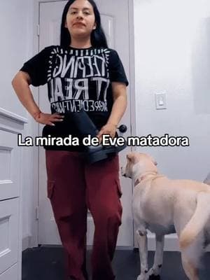 La mirada de Eve Matadora  . . #dog #viralvideo #musicacolombiana #bogota #elheredero 