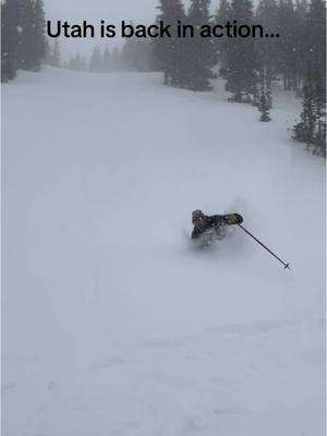 15.5 inches in 5 hours. 5 inches in 1 hour. 20” in 8 hours as I post this. Finally. #skitok #skiing #powderskiing #alta #momentskis #freshtracks 