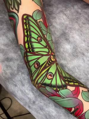 By Jina.zoo.zoo  #butterflytattoo #tattoo #colortattoo #insecttattoo #tattoos #armtattoo #armtattoos #healedtattoo #scene360 