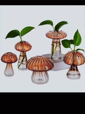 Name something cuter, I’ll wait! #vases #PlantTok #flowers #propagate #mushrooms #decor #boho #eclectic 