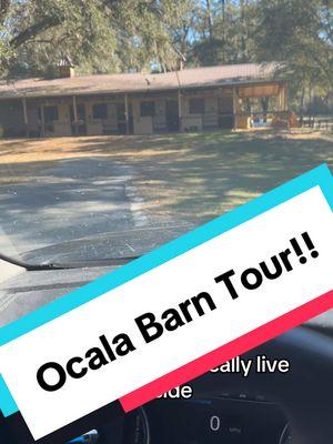 Ocala barn tour!!! So grateful to @Liz Lund for letting us crash here for a few months #equestriansoftiktok #horsegirlsoftiktok #horsetok #ocala #horses #eventing #horsegirl #equestrian 