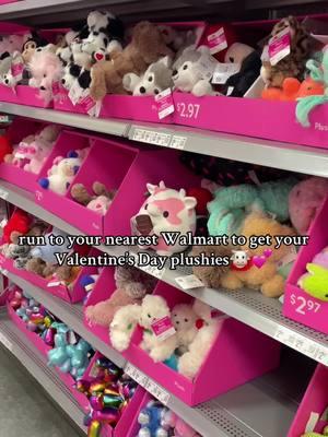 the mini vaquitas are back! 🐮  #cowplush #plushies #trending #viralvideo #fyp #fypシ #fypシ゚viral #explore #explorepage #walmart #walmartfinds #ValentinesDay 