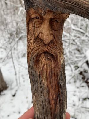 “Unimpressed” #driftwood#woodcarving#artistsoftiktok#nature 