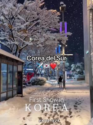 #corea #seul #❤️❤️ #🇰🇷🇰🇷 MI GRAN SUEÑO #🥹 