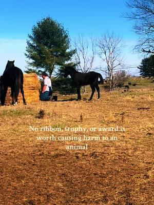 It’s just not. This whole story breaks my heart and makes me sick. #tennesseewalkinghorse #thepurplerain #ginonjazz #votenotothepastact #letemwalkon #versatile #gaitedhorses #gaitedhorse #railtotrail #agvocate #horsemanship #horsetraining #education #showhorse #history 