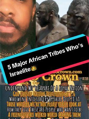 Many Tribes in West Africa are apart of God Chosen Nation these are just the Top 5 Understand our HISTORY doesn’t start with slavery we’re a royal nation of God👑We must Unlearn all the Lies we was taught by our enemies humble ourselves become as a child again Listen & Learn From our own Study 📚 to show ourselves approve So we can rise and Take Back Our Crown 👑 Rule the world forever as it is written💯 #tbocrown #yoruba #igbo #akan #congo #mandinka #ghana #nigeria #brazil #cuba #haiti #jamaica #angola #trinidad #tobago #fyp #chosen #God 