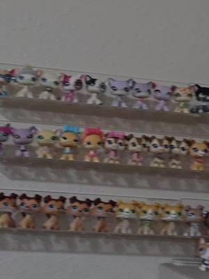 I rerecorded this three times and still cpuldn't get it all to fit 😭 #lps #littlestpetshop #rarelps #lpscollection #lpscollector #lpsdisplay #lpstok 