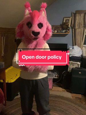 That is one way to get rid of people that you don’t like #fyp #furry #pink #tigerlynx #fursona #fursuit #fursuiter #furrytiktok #acting #furrytiktoker #meme #mood #opendoorpolicy 