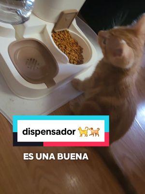 ¡Cuida a tus mascotas incluso cuando no estás en casa! 🐾🥰 Este dispensador automático 2 en 1 de comida y agua es perfecto para perros y gatos. Gran capacidad, diseño práctico y el regalo ideal para esta temporada. 🎄🐶🐱 #PetAccessories #AutomaticFeeder #PetGadgets #PetLovers #DogFeeder #CatFeeder #PetCare #ConvenienceForPets #PetEssentials #GiftsForPets #Mascotas #DispensadorDeComida #AccesoriosParaMascotas #RegalosNavideños #Navidad2025 #CuidaAMascotas #InnovaciónParaMascotas #RegaloPerfecto #TiendaEnLínea #TikTokShopping #gatosdetiktok #perrostiktok #mascotasfelices 