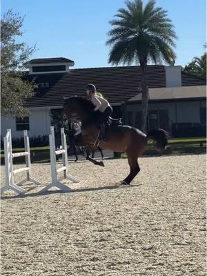 3 years together and I’m still trying to stay with his jump🥲 #equestrian #viral #horseshow #horsetok #wellingtonfl #horselove #hunterjumper #showjumping #showjumper #horsesoftiktok #fyp #foryoupage #fypage #fypシ #xyzbca 