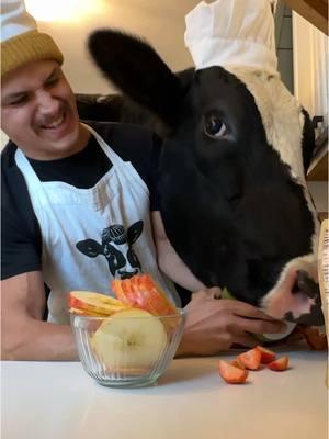 Trying to make dinner with Bruce! #cow #brucethecow #farm #animals 