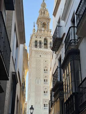 ✨A Day Walk in Sevilla, Spain✨ #December #holiday #holiday2024 #spain #españa #visitspain #tour #vacation #explore #sevilla #sevillaspain #sevillaitinerary #fyp #foryoupage #visitsevilla 