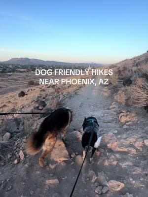 this one’s a favorite at sunset 🌅⛰️🌵 #arizona #hike #adventures #dogfriendly #beautifulviews #sunset 