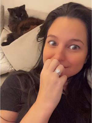 I’m pretty sure she was plotting there for a second….barely made it out alive 😅 #catmom #lifewithcats #cats #catvideos #pets #catsoftiktok #funny #PetsOfTikTok #closecall #catvideos #catvideosontiktok 