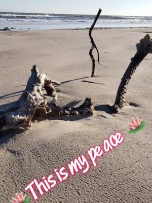 #livingmybestlife #thebeaconfamily #beaconqueenofsouthtexas #justmebeingme #lesbiansoftiktok #fyp #sweettoftexas #sangreazteca #nofilter #mypeace #saltlife #beachvibes #sand #driftwood #seashells @whodat563 