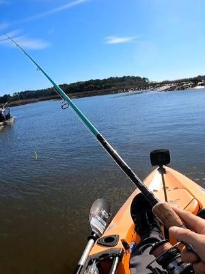 #fy #fishing #fishtok #beaufortsc #double 