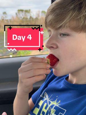 Day 4, strawberry snacks! #strawberry #snack #frobergsfarm 