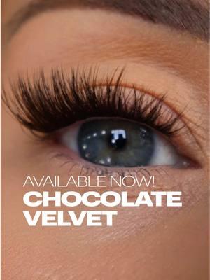 You asked. We delivered. Chocolate Velvets are available now! #lashify #brownlashes 