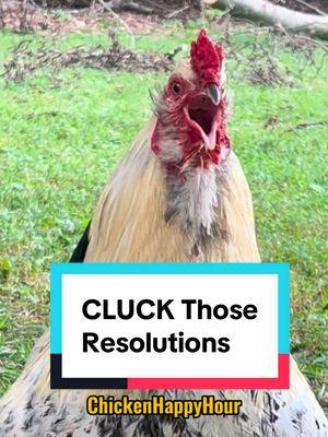 CLUCK those #newyearsresolution #newyear #2025 #chickens #chickensoftiktok #funnyanimals #rooster #chickenhappyhour   