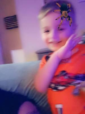 #spiderboy #tomtom #toddlersoftiktok 