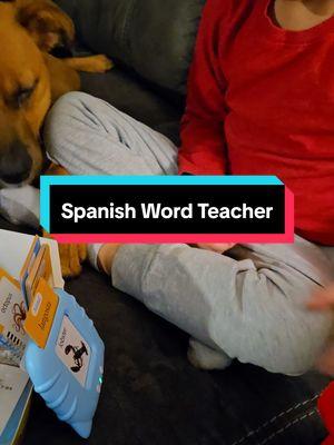 Spanish #mixedfamily #learnspanish #Spanishflashcard #Spanishwords #spanishtranslation  #TikTokShopLastChance, #spotlightfinds, #TikTokShopNewYearNewAura 