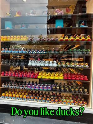 We used this one as our landmark, but Mama Duck Stores were everywhere. #psychologistsoftiktok #psychologist #fyp #mentalhealthmatters #travel #amsterdam #rubberduck #rubberduckstore #rubberducks #Vlog 