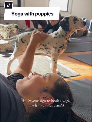 & they serve mimosas after class 👀 @Puppysphere 🤍 #yogawithpuppies #puppytiktok #puppyyoga 