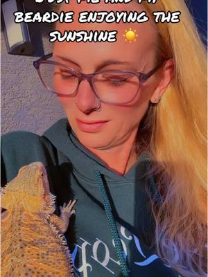 #myhappyplace #animals #enjoying some #sunshine #beardeddragon #beardiesoftiktok #beardiemom #reptiles #fyp 