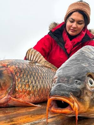 Oven or Tandoor? We Tried Two Recipes on Fish Giants! @azerbaijancuisinevlog #cook #cooking #cookingvideo #cuisine #recipes #fyp #foryoupage #trending