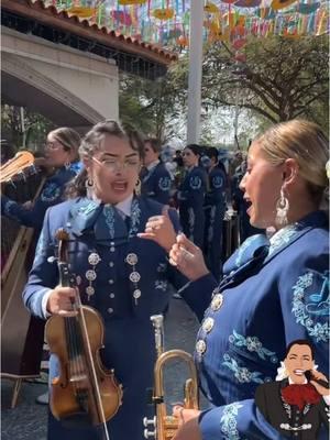 Mujeres cantando con mariachi #ositoazull #mariachis#mujeres#rancheras#amazing #show #baile #paratupagina #foryourpage 