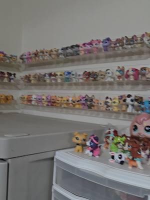 Replying to @brie2490  #lps #littlestpetshop #rarelps #lpscollection #lpscollector #lpsdisplay #lpstok 