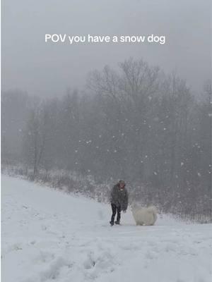 I believe her and I are one of the few people that enjoy this much snow in 24 hrs 👀😅❄️☃️ #fyppppppppppppppppppppppp #fyp #yvr #samoyed #ohio 