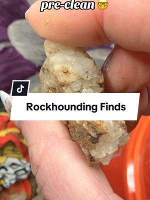 Rockhounding finds, gorgeous quartz for days 😍#crystalenergy #CrystalCommunity #crystaltok #crystaleducator #crystalshop #rockhoundingadventures #rockhound #crystalsoftiktok #CrystalHealing #crystalenergy #quartz #quartzcrystal #quartzcrystals 