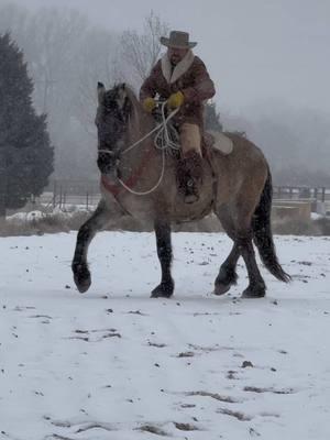 Fenna having some fun on this snow day! #horseman #horsemanship #caballos #wyoming #ranchstyle #ranchhorses #horseexperience #younghorses #winter #horseconection 