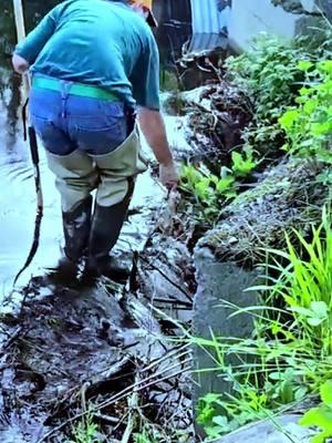 #unclog #unclogging #beaverdam #removal #mechanical #excavation #uncloggingdrains #drainplug #poop #pipes #satisfying #oddlysatisfying #asmr #fyp #fypage #viralvideo #foryou 