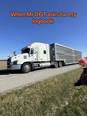 #CapCut #FYP #fyp #foryoupage #truckersoftiktok #Lucky13 #showtrucksworktoo #cowsoftiktok 