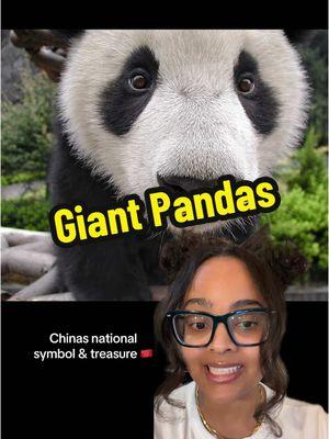 They’re literally the cutest! 🐼🩷  #giantpanda #panda #animalfacts #greenscreen 