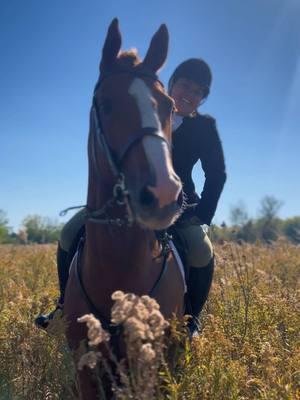 Had to jump on this trend with my heart horse Marshall ♥️ he’s definitely a ‘man in a suit’ type of guy 😅 #equestrian #horse #horsesoftiktok #horsegirl #equestrianlife #barnlife #myhorse #sporthorse #gelding #horses #moneytalks #warmblood #tiktoktrend #fyp #horsetok #horsesontiktok 