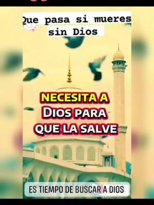 #series #jesus #Dios #losdiesmandamientos #elricoylazaro #reinaesther #reidavid #reisaul #apocalipsis #profetas #samuel #joseenegipto #tierraprometida #genesis #reyes #profecias #jezabel #profetaelias #profetadaniel #profetajeremias #iglesia #cristianos #creyentes #amo #a  #Dios #yiyeavila #josedegipto 