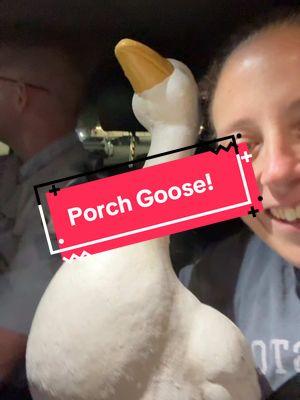 Porch goose secured!!! I grew up watching all the grandmas change these porch goose outfits for each season and holiday and I’m so happy this is making a comeback in my lifetime! Reminds me so much of visiting my Mamaws house. #porchgoose #porchgooseclub #porchgooseoutfit #porchgoosefam #namesuggestions #goose #shenaningans #wildgoosechase #joannfabrics 