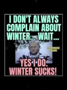 #tryingtosurvive #ihatewinter #coldsucks #needsomesun #fyp #icomplain #winter #itiswhatitis 